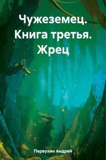 Чужеземец. Книга третья. Жрец - Андрей Первухин