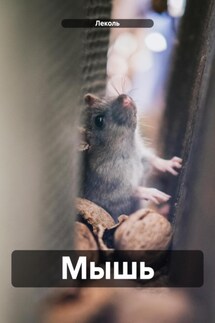 Мышь - Леколь