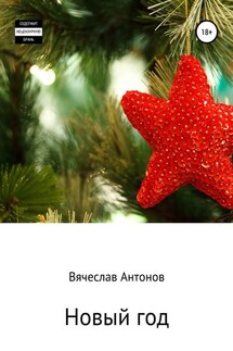 Новый год - Вячеслав Антонов