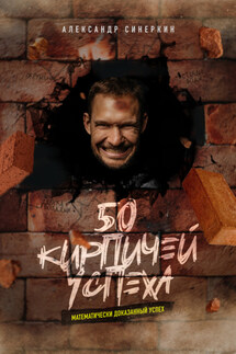 50 кирпичей успеха - Александр Синеркин