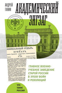 Академический зигзаг. Главное военно-учебное заведение старой России в эпоху войн и революций - Андрей Ганин