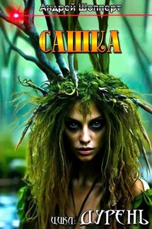 Дурень. Книга первая. Сашка - Андрей Шопперт