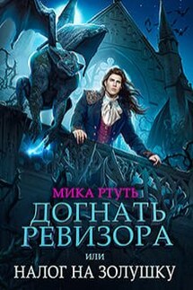 Догнать ревизора,или налог на Золушку - Мика Ртуть