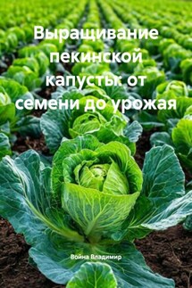 Выращивание пекинской капусты: от семени до урожая - Война Владимир
