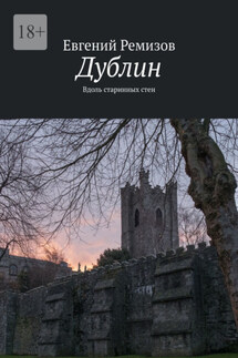Дублин. Вдоль старинных стен - Евгений Ремизов