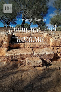 Прошлое под ногами - Александр Кандия
