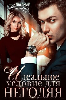 Идеальное условие для негодяя - Майарана Мистеру