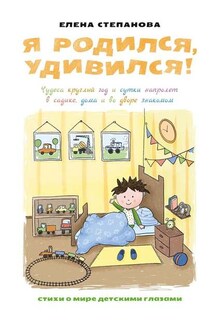 Я родился, удивился! Чудеса круглый год и сутки напролет в садике, дома и во дворе знакомом - Елена Степанова