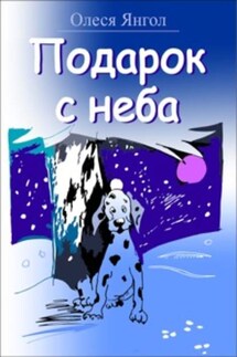 Подарок с неба - Олеся Янгол