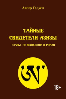 Тайные свидетели Азизы. Главы, не вошедшие в роман - Амир Гаджи