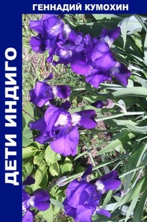 Дети Индиго - Геннадий Кумохин