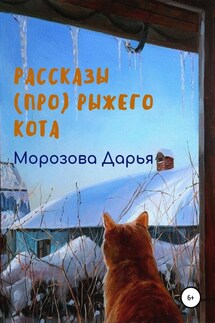 Рассказы (про) рыжего кота - Дарья Морозова