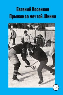 Прыжок за мечтой. Шинни - Евгений Косенков