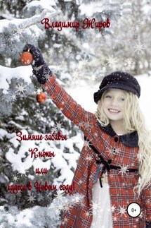 Зимние забавы Кнопы, или Чудеса в Новом году - Владимир Жиров