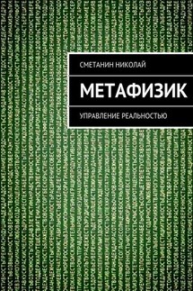 Метафизик. Управление реальностью - Николай Сметанин