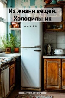 Из жизни вещей. Холодильник - Лариса Басанец
