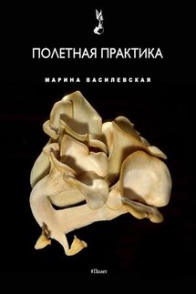 Полетная практика - Марина Василевская