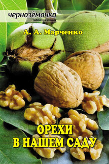 Орехи в нашем саду - Андрей Марченко