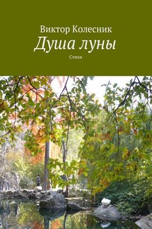 Душа луны - Виктор Колесник
