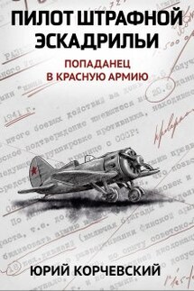 Пилот штрафной эскадрильи - Валерий Атамашкин