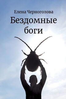 Бездомные боги - Елена Черноголова