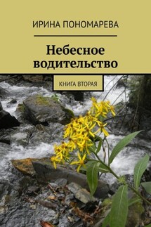 Небесное водительство. Книга вторая - Ирина Пономарева