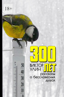 300 лет. Рассказы о бессловесных душах - Виктор Улин