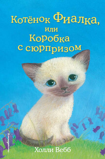 Котёнок Фиалка, или Коробка с сюрпризом - Холли Вебб