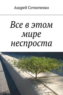 Все в этом мире неспроста - Андрей Сотниченко