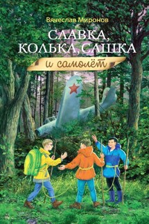 Славка, Колька, Сашка и самолёт - Вячеслав Миронов