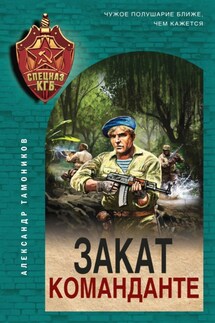 Закат команданте - Александр Тамоников
