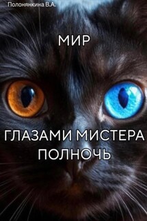 Мир глазами Мистера Полночь - В.А. Полонянкина