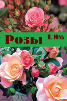 Розы - Петр Юль
