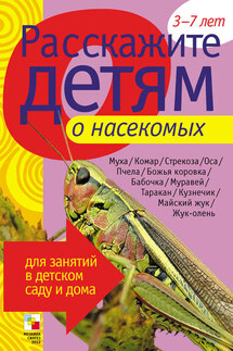 Расскажите детям о насекомых - Э. Емельянова