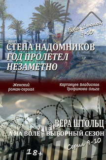Степа Надомников. Жизнь на чужбине. Год пролетел незаметно. Вера Штольц. А на воле – выборный сезон. Серия 9–10 (сборник) - Владислав Картавцев, Ольга Борисовна Трофимова
