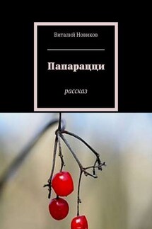 Папарацци. Рассказ - Виталий Новиков