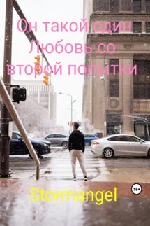 Он такой один. Любовь со второй попытки - Stormangel