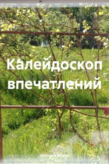 Калейдоскоп впечатлений - Светлана Юлина