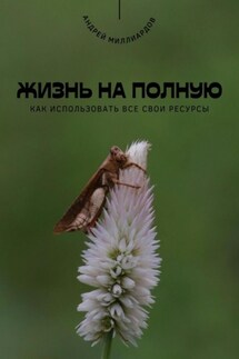 Жизнь на полную. Как использовать все свои ресурсы - Андрей Миллиардов