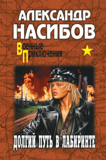 Долгий путь в лабиринте - Александр Насибов