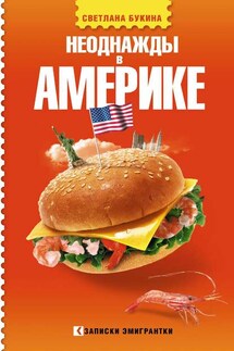 Неоднажды в Америке - Светлана Букина