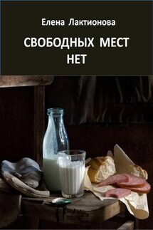 Свободных мест нет. Рассказы советских времен (сборник) - Елена Лактионова