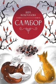 Самбор - Вера Водолазова