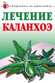 Лечение каланхоэ - Анна Мельник