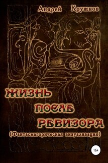Жизнь после ревизора - Андрей Кружнов