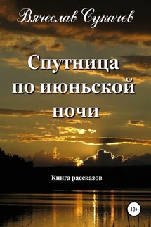 Спутница по июньской ночи - Вячеслав Сукачев