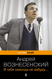 Я тебя никогда не забуду… - Андрей Вознесенский
