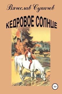 Кедровое солнце - Вячеслав Сукачев