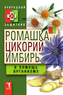Ромашка, цикорий, имбирь в помощь организму - Ю. Николаева