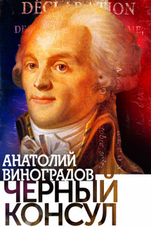 Черный консул - Анатолий Виноградов
